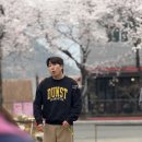 만발 | 버스카버스카 DAY4 벚꽃투어 in 밀양 벚꽃만발 후기