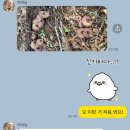 성숙농장 | 아이리스 스튜디오 웨딩촬영 드레스 피팅 후기!!