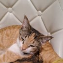 수진약국 이미지