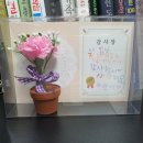 풍무 태권도장 이미지