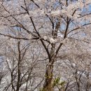 하단동1244 이미지