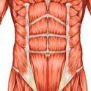 엔터핏 삼성점 이미지