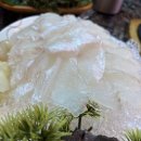 중원상대원1-D-6 | [경기/성남] 상대원 회먹으면행복해, 우연히 찾은 동네 맛집