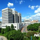 납부필증(칩) 이미지