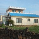 일과리-1 이미지