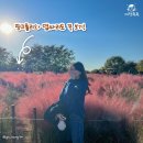 억새어린이공원 이미지