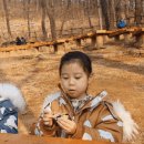 관양어린이공원 이미지