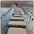 공릉천변 이미지