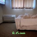 미국 콜로라도 여행 - 글렌우드 스프링스(Glenwood Springs)에서 갑자기 호텔 바꾸게 된 일