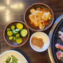 낙동생오리 이미지