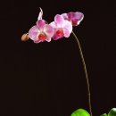 (주)서목 이미지