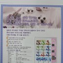 아이스크림자동판매기 이미지