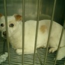 덕인약국 이미지