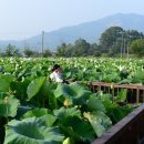 고암이응노생가기념관 이미지
