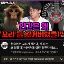인간배아물갈퀴가있다= 생선대가리년들이 영장류를 이길려드냐 콜라겐 보지둘레들년아 이미지