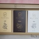플렌 비 이미지