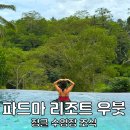 소둥지농장 | 발리 파드마 리조트 우붓 정글 숙소 추천 가족여행 딱