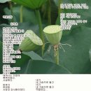 백일사 네이버블로그