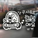 진돗개의 종류? 이미지
