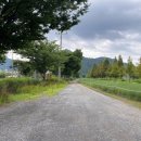 논공공단주유소 이미지