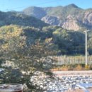 주왕산머물다가 이미지