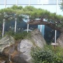 정원식당 앞 이미지