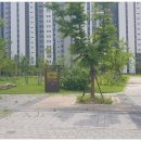 삼봉중앙로 공원 이미지