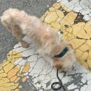 살랑살랑 이미지