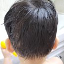 [보타니컬테라피]버블솜엉덩이클렌저, 베이비샴푸, 워시 3종 워시 세트 후기