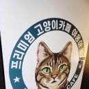 야옹아놀자(동성로점) 이미지