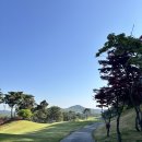 에콜리안정선골프장 | 수도권, 충청권, 강원권 노캐디 골프장 리스트