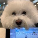 강남유치원 이미지