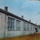 청양중학교 | 청양중학교(청양) 21회