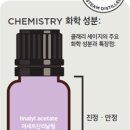 세이지 필라테스 이미지