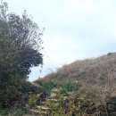 평대 모살코지 이미지