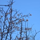 삼원농수산물