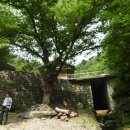 2019. 7월 성지순례(聖地巡禮) 창녕 - 석불사(石佛寺) 이미지