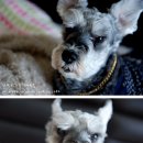 구강농장 이미지