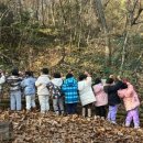 양지1어린이집 이미지