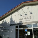 세그루 | 경기도 포천 카페// 마당이 있어 좋은 “카페세그루” //내돈내산 후기✨