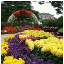 하얀당구장 이미지