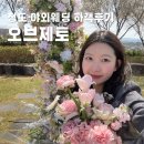 오브제토웨딩 | 청도 오브제토 웨딩 하객 후기ㅣ벚꽃비 내리는 야외웨딩이라니 야외웨딩의 묘미란 이런 것 아닐까? l...