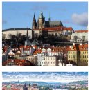 선생님이 신혼여행 도중에 담당 학생 죽으면 알려야 하나요?. 이미지