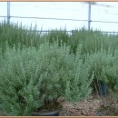 부귀농장 이미지