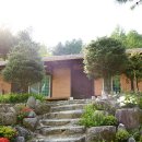 계곡속의동화 이미지