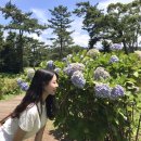 상귀리아 이미지