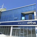 이뿌개해줄개 | 고성 포레스트카페 알파카 파충류체험 추천 내돈내산 삼포해수욕장 근처 아이와 함께 후기