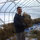 재룡농장 이미지