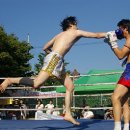 태성체육관 이미지