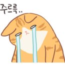 씨에이치동물병원